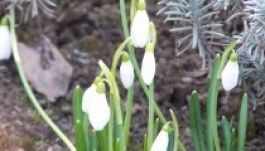 Vége is lesz a télnek februárban, amint elvonul a nagy hideg