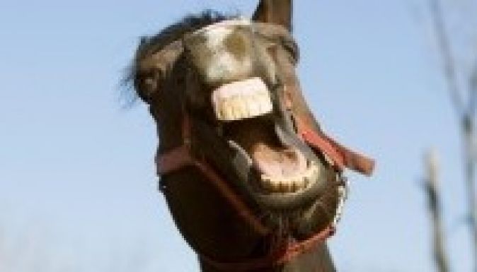 Nemzeti fedezőménként folytatja Overdose, a magyar ex-csodaló