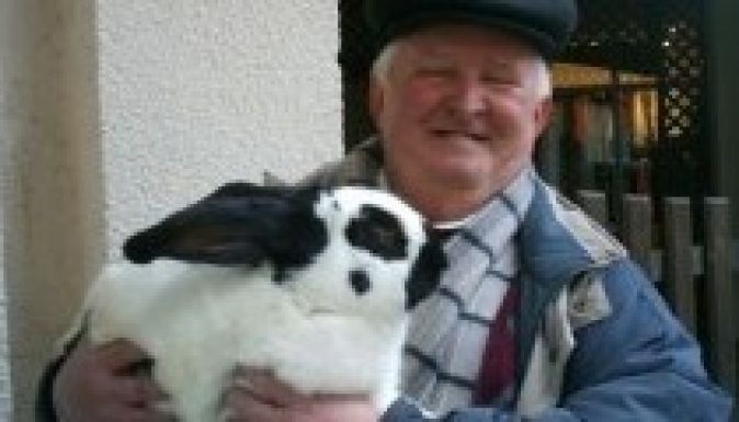 Növekvőben a kisállattartási kedv a lakosság körében