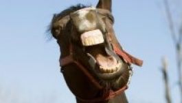 Nemzeti fedezőménként folytatja Overdose, a magyar ex-csodaló