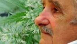 Nobel-békedíjra jelölték a marihuánát legalizáló uruguayi elnököt