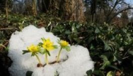 Előrejelzés: tavaszias idő várható a hét elején