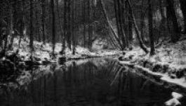 Befeketedett egy orosz folyó Moszkva mellett