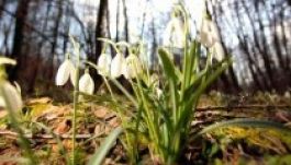 Még marad a tavaszias időjárás Romániában