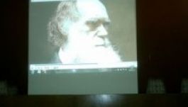 Kétnyelvű Darwin-napot tartottak Szatmárnémetiben