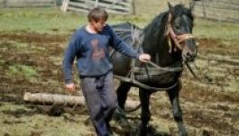 Dokumentumfilm-vetítés a hegyi kaszálókról Marosvásárhelyen