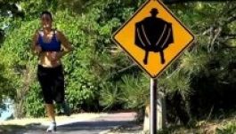 Vádat emeltek a margitszigeti nejlonharisnyás szatír ellen