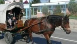 Szigorítják a szekeres közlekedést Sepsiszentgyörgyön