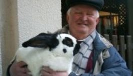 Növekvőben a kisállattartási kedv a lakosság körében