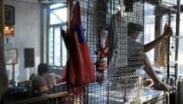 Emberek, akik ketrecben élnek (GALÉRIA)