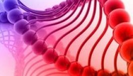 Ehhez a néphez álltak genetikailag a legközelebb a románok