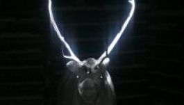 Világító agancsuk menti meg a finn rénszarvasokat