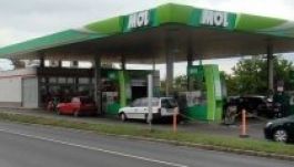 Hét százalékkal növelte tavaly bevételét a Mol Románia