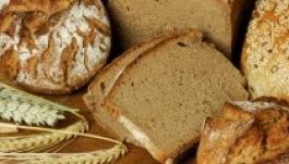 A Vatikán is részt vesz a 2015-ös milánói Világkiállításon