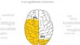 Megbízható-e az agyféltekék dominanciáját mérő online teszt?
