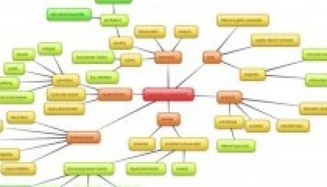 Nyelvstratégiai intézetet alapít a magyar kormány