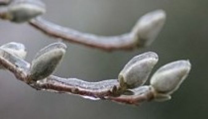 Erős fagy volt Székelyföldön kedd hajnalban