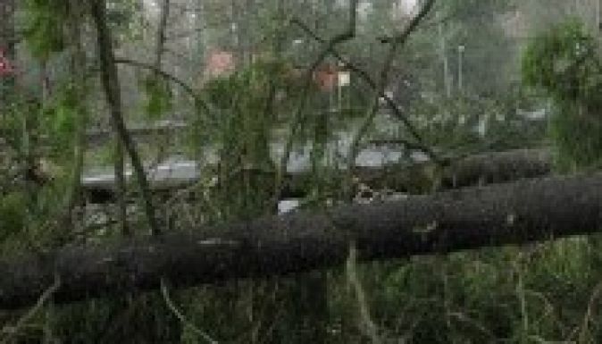Tízezer lejes kárt okozott a szélvihar Sepsiszentgyörgyön