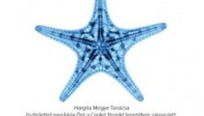 Európai Kreativitás Napjára hívnak a csíkszeredaiak