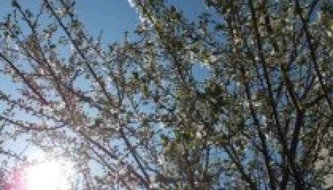 Hivatalosan is megkezdődött a tavasz