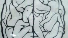 A szex intelligensebbé tesz