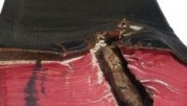 Golyóálló biblia mentette meg egy sofőr életét