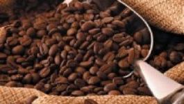 Februárban már drágult a kávé alapanyaga