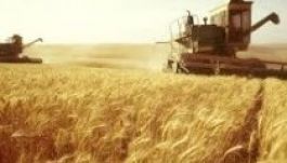 A müzlinken is érezni fogjuk az ukrán krízist