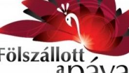 Szombaton kezdődnek a Fölszállott a páva elődöntői