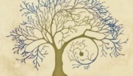 Többnemzetiségű alkotócsoport bemutatója Temesváron