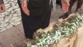 Román hóvirágcsempész bukott le Ártándnál