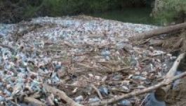 Több műanyagszemét van a Dunában, mint halikra