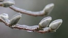 Erős fagy volt Székelyföldön kedd hajnalban