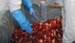 Tizenöt millió eurós kárt okozott a román húsmaffia