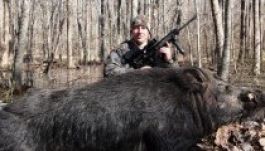 Egy évig nem kell húst vegyen a 226 kilós vaddisznót lövő vadász