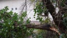 Megérkezett az ítéletidő, óránként 90 km-nél erősebb szelet mértek