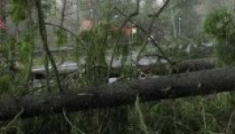 Tízezer lejes kárt okozott a szélvihar Sepsiszentgyörgyön