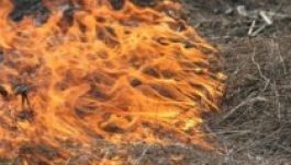 Tilosban is terjed a tarlóégetés Hargita megyében