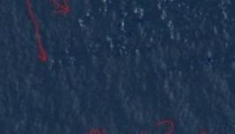 Courtney Love azt állítja, hogy megtalálta az eltűnt maláj gépet