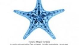 Európai Kreativitás Napjára hívnak a csíkszeredaiak