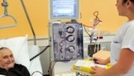 A genetika alapjain változtat magyar kutatók felfedezése