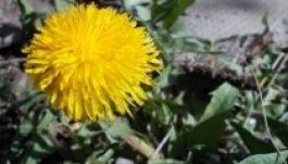 Hűvös idő lesz húsvétkor, május pedig sok esőt hoz