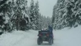 A Transalpinán rekedt egy kolozsvári család