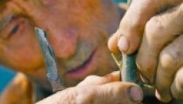 Gyümölcsoltó Boldogasszony: a szent oltás és fogantatás napja