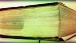 Két vízilónál többet nyom a brazil bürokráciáról írt könyv