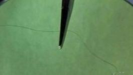 Elég egy hajszál a fantomkép elkészítéséhez