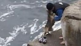 Kutyát menteni ugrott a fagyos Szamosba egy dési fiatalember