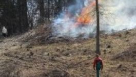 Természetvédelmi területeket égettek fel Kolozsvár mellett
