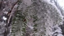 Pénteken a hegyekben havazni fog