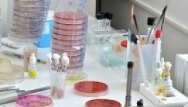 Sok lehet a C típusú hepatitiszes beteg, csak nem tudnak róla